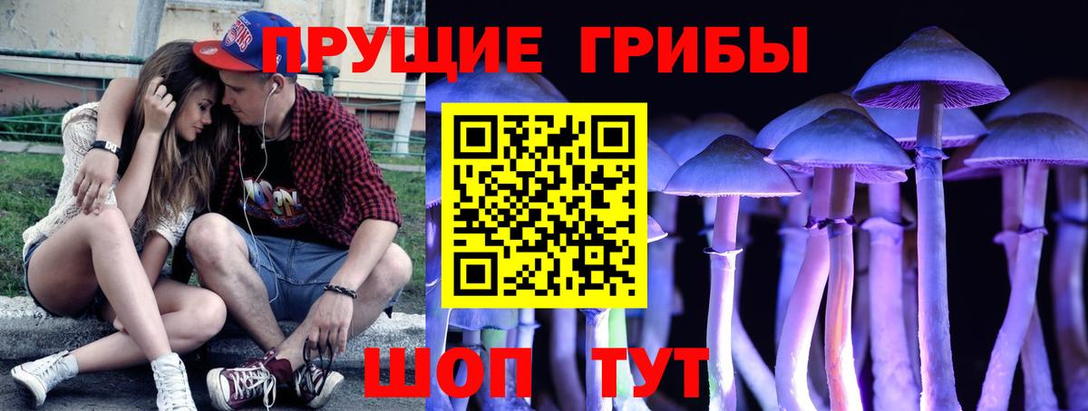 Псилоцибиновые грибы мицелий Новотроицк